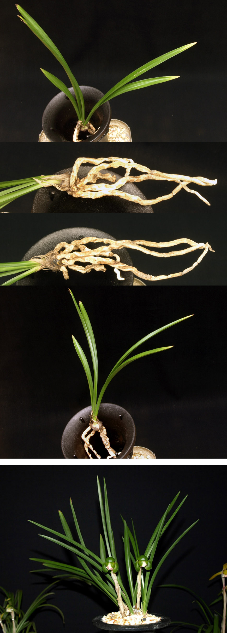 ������ ū������ �� �� �ֽ��ϴ�.