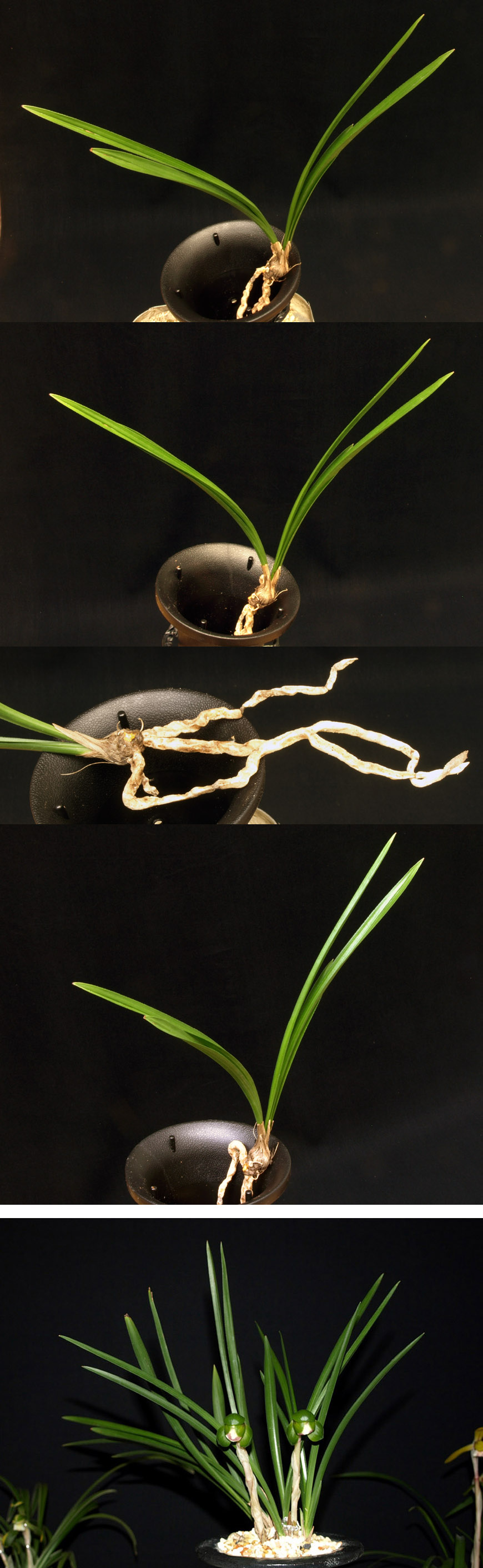 ������ ū������ �� �� �ֽ��ϴ�.