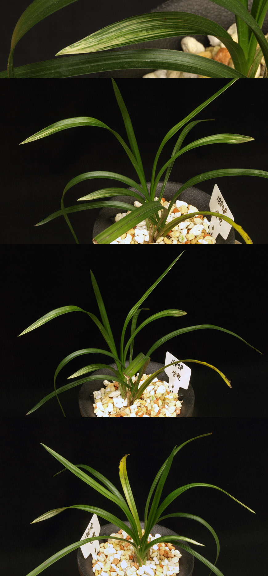 ������ ū������ �� �� �ֽ��ϴ�.