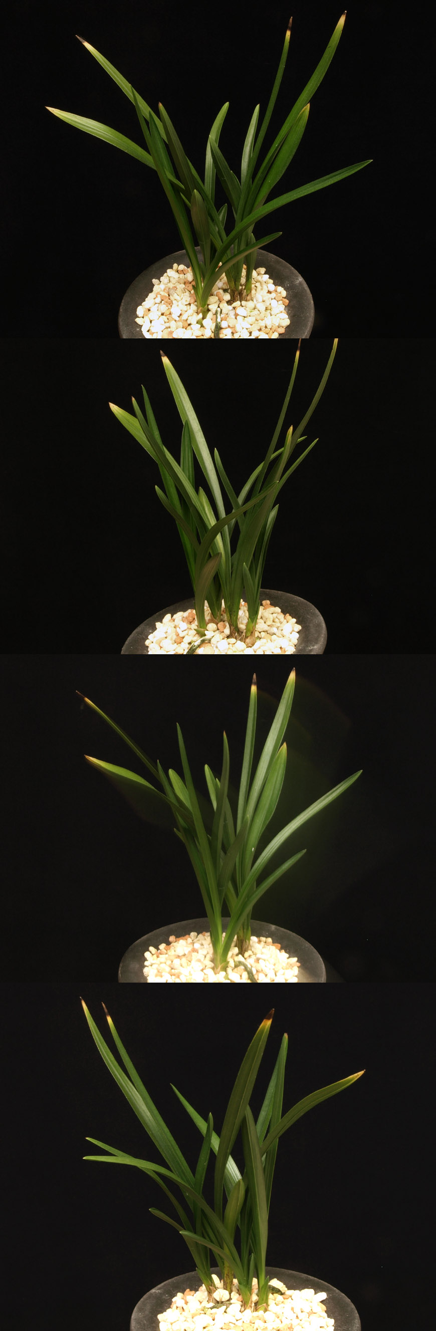 ������ ū������ �� �� �ֽ��ϴ�.