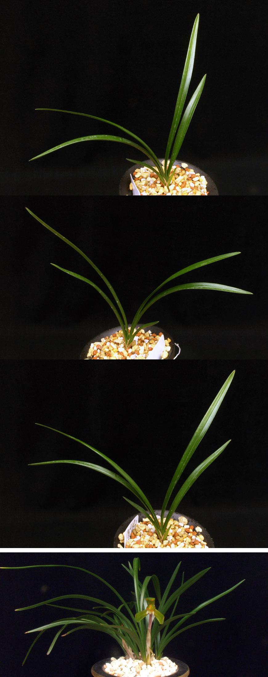 ������ ū������ �� �� �ֽ��ϴ�.