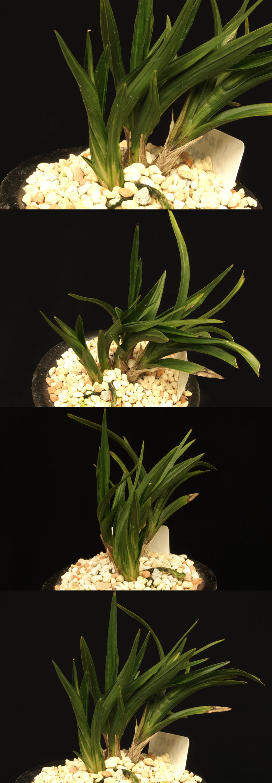 ������ ū������ �� �� �ֽ��ϴ�.