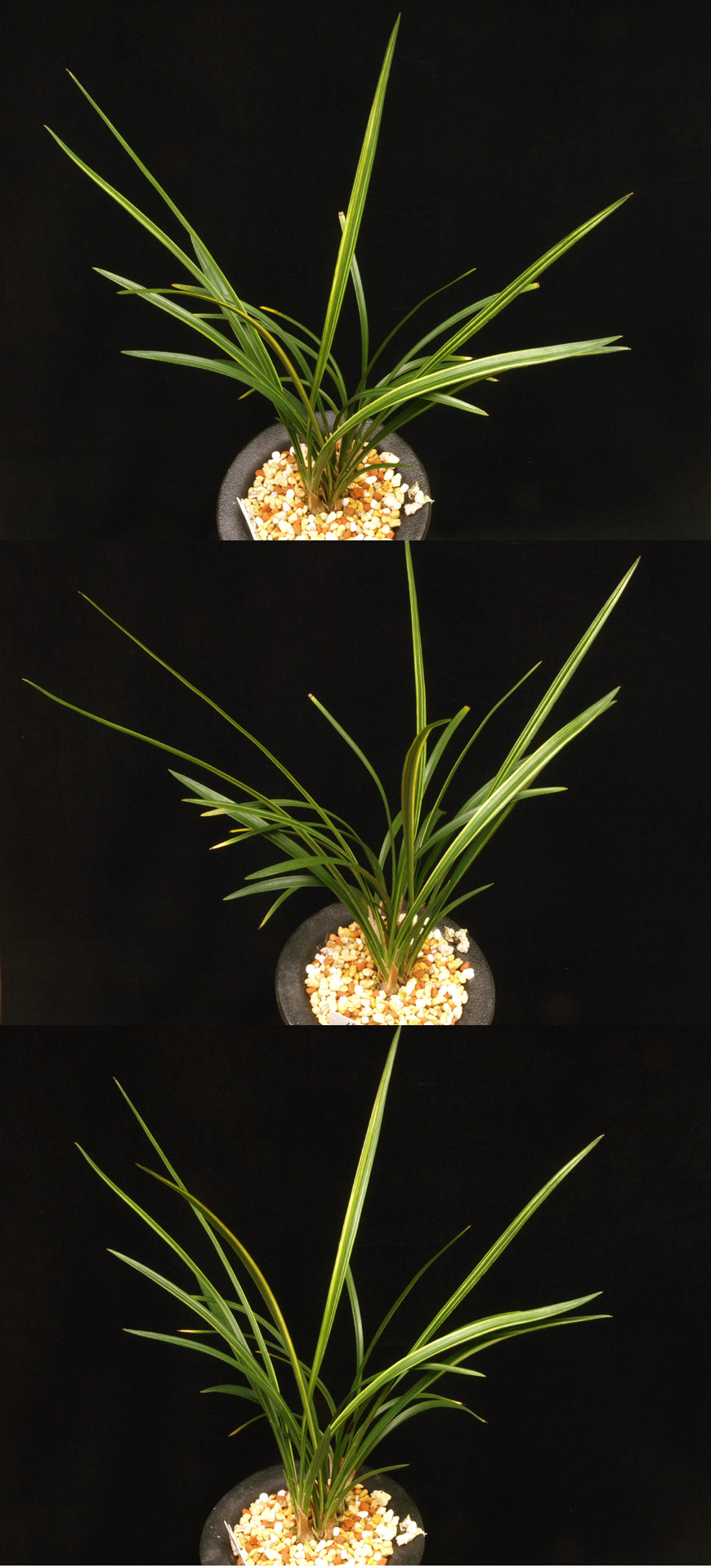 ������ ū������ �� �� �ֽ��ϴ�.