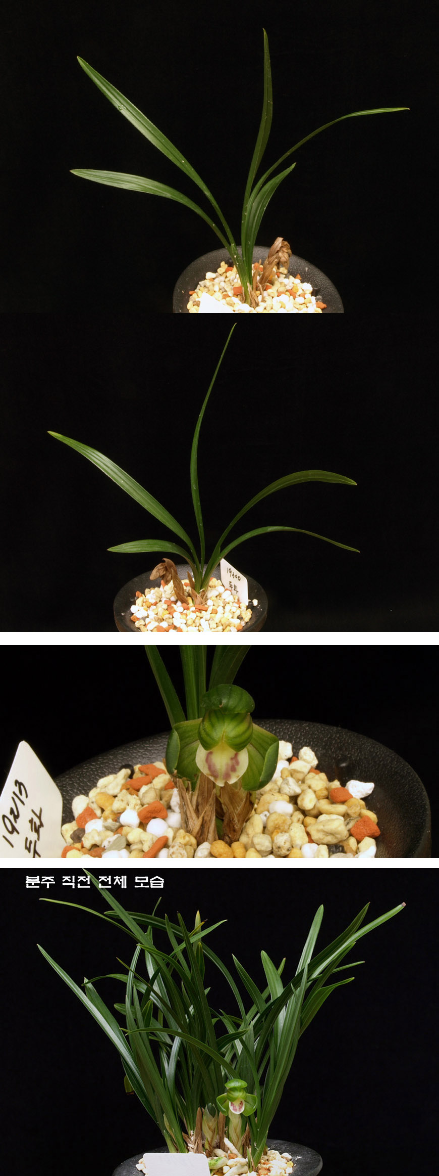 ������ ū������ �� �� �ֽ��ϴ�.