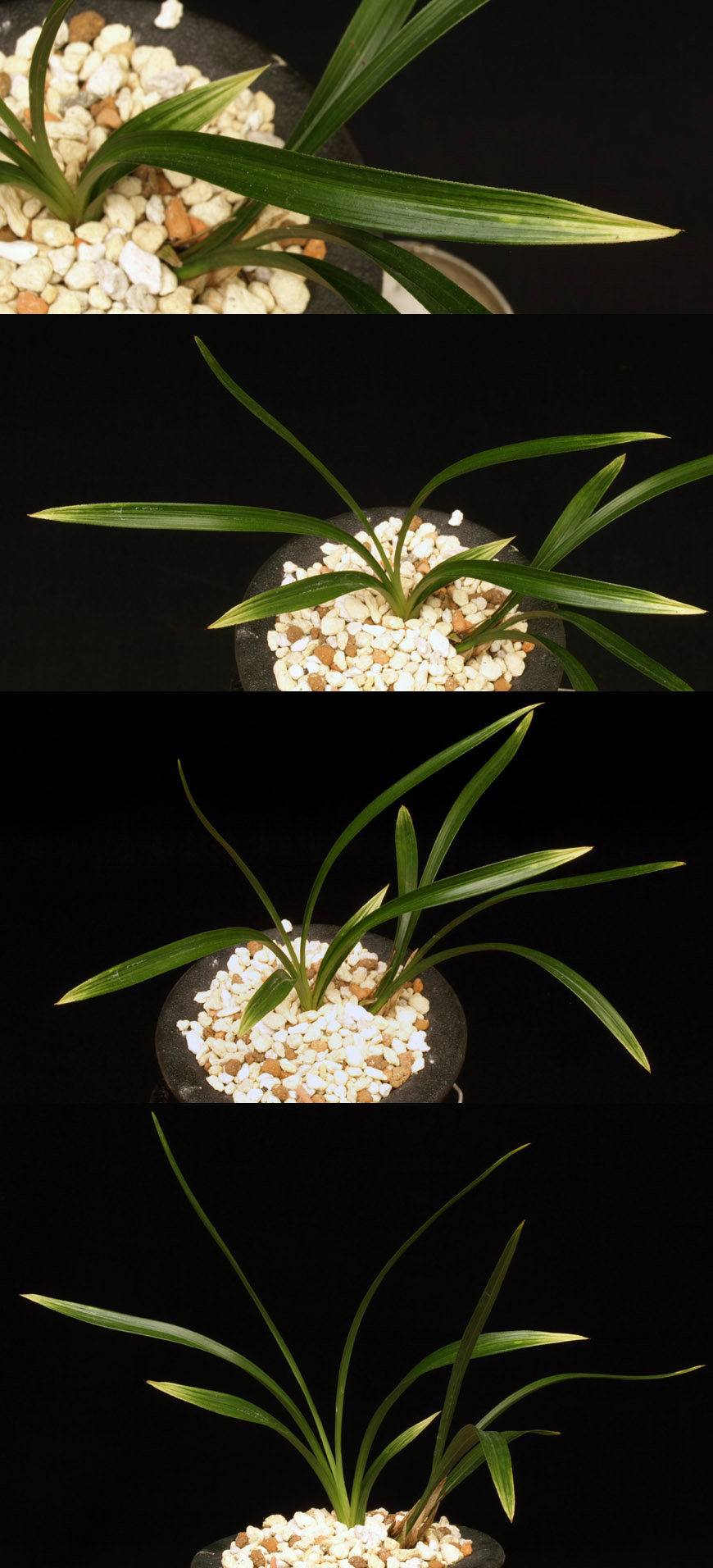 ������ ū������ �� �� �ֽ��ϴ�.