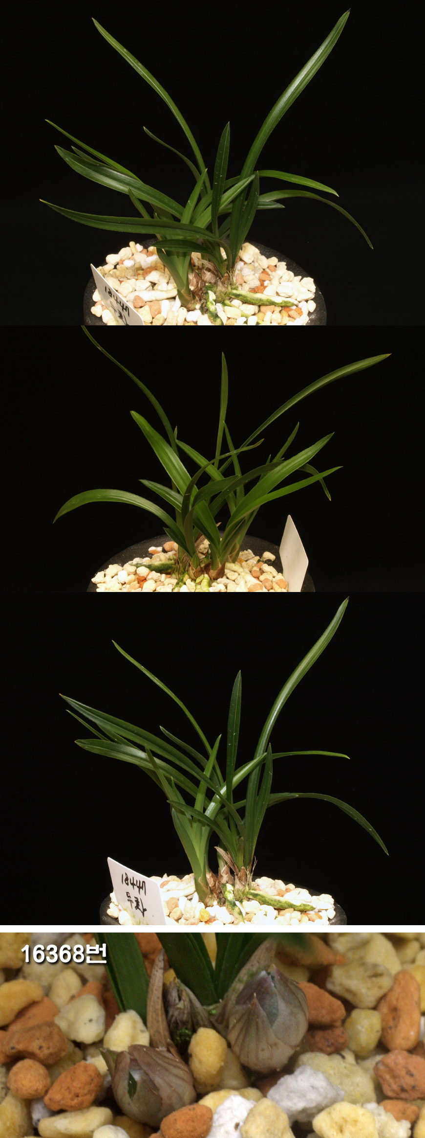 ������ ū������ �� �� �ֽ��ϴ�.