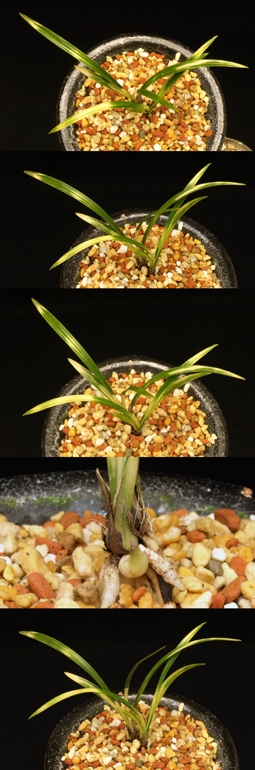 ������ ū������ �� �� �ֽ��ϴ�.