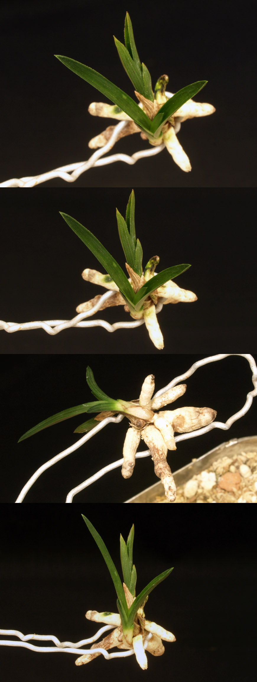 ������ ū������ �� �� �ֽ��ϴ�.