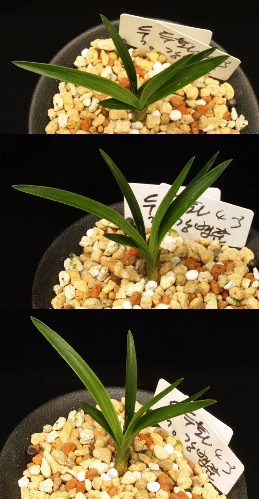 ������ ū������ �� �� �ֽ��ϴ�.