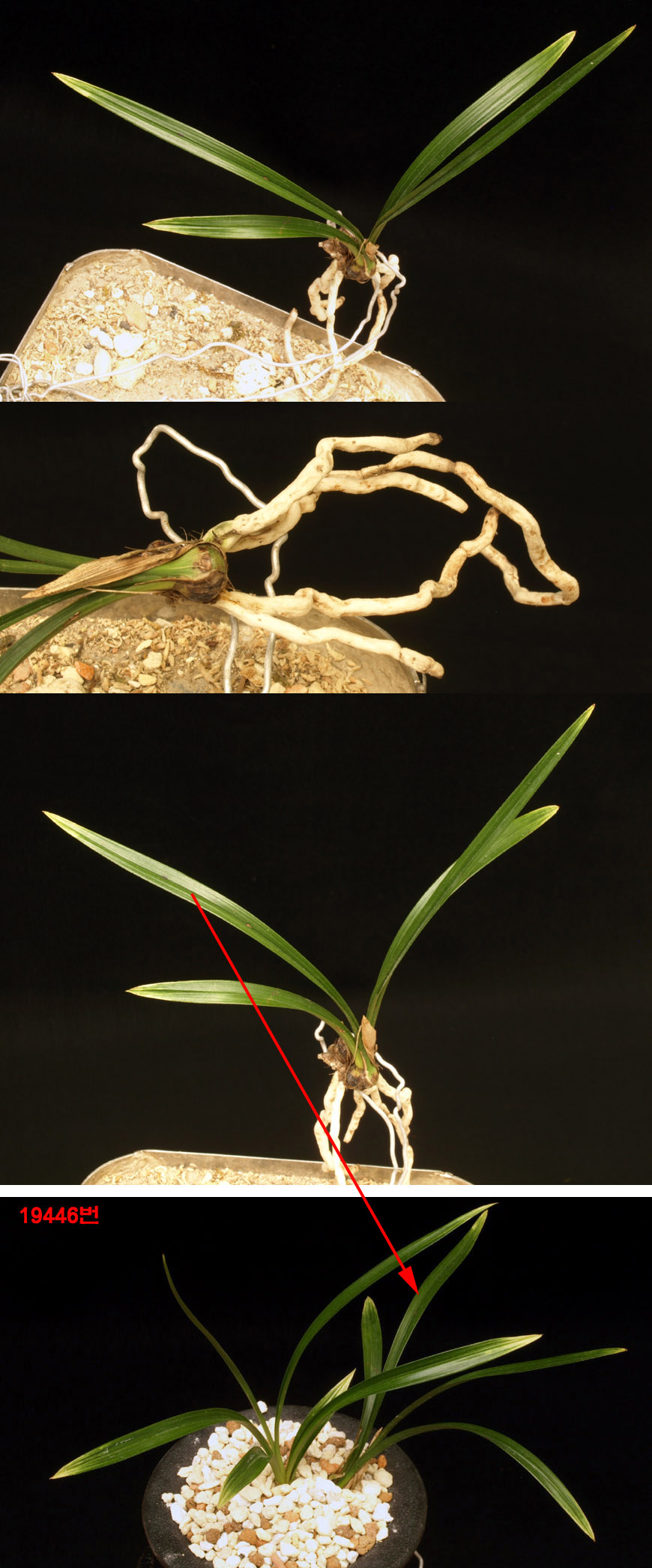 ������ ū������ �� �� �ֽ��ϴ�.