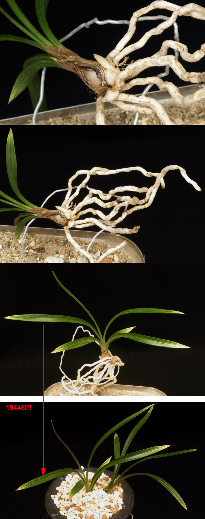 ������ ū������ �� �� �ֽ��ϴ�.