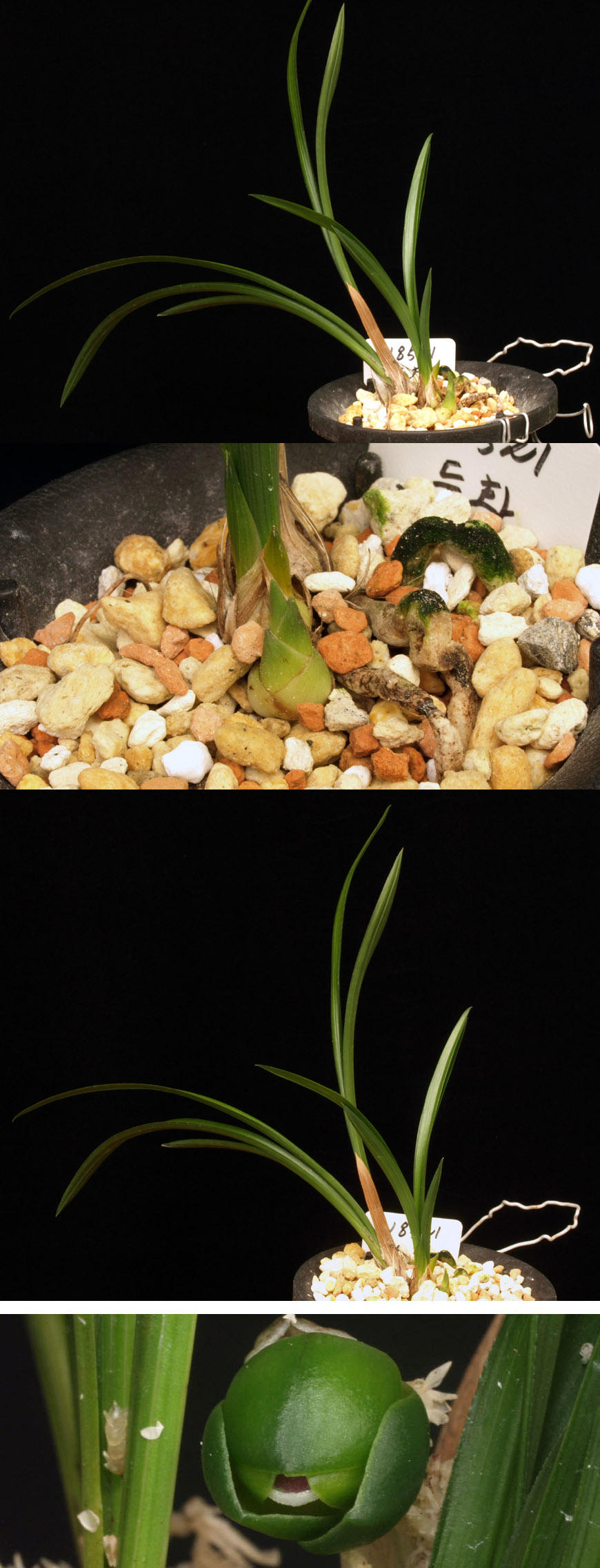 ������ ū������ �� �� �ֽ��ϴ�.