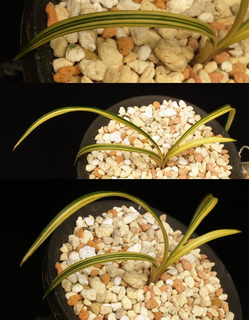 ������ ū������ �� �� �ֽ��ϴ�.