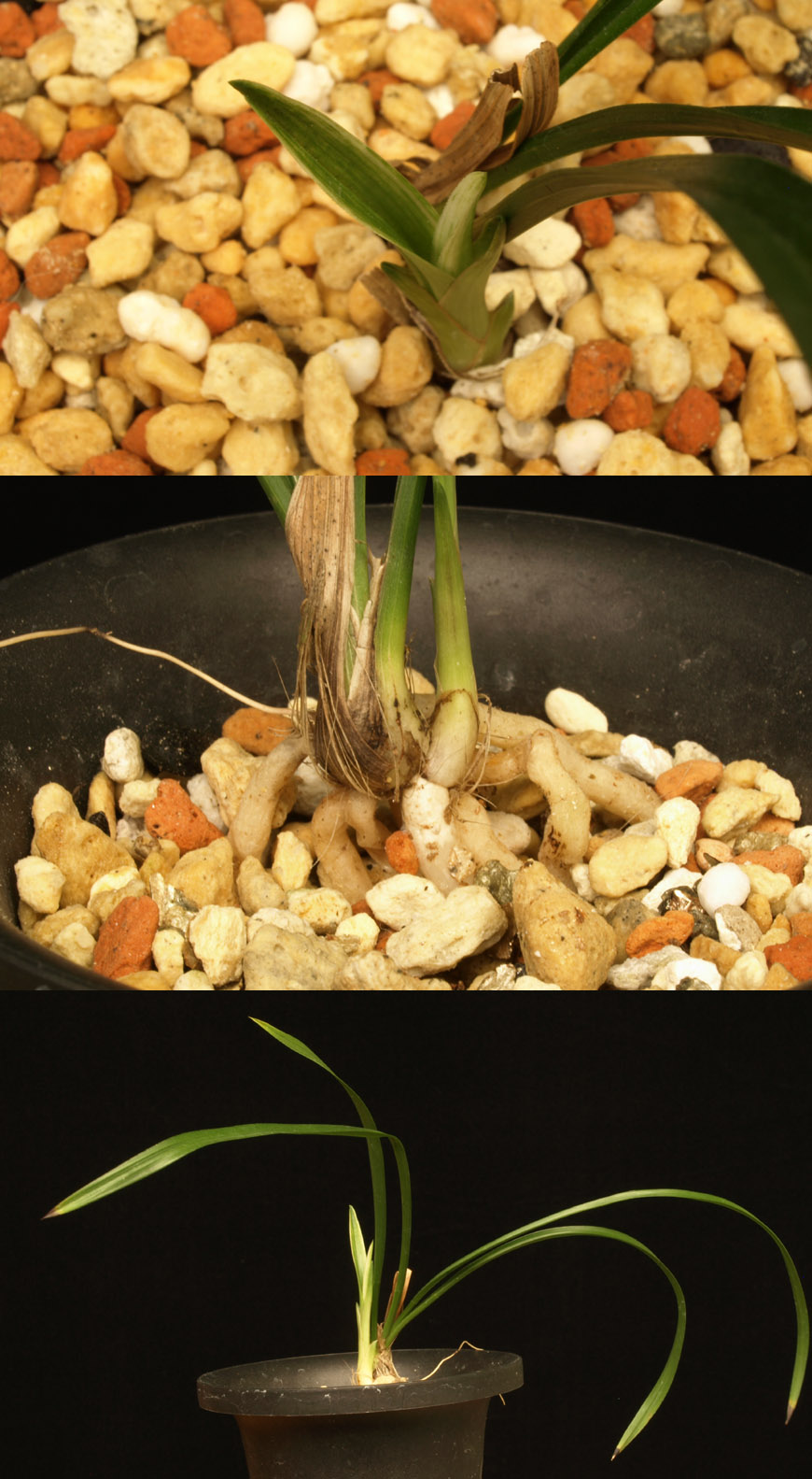 ������ ū������ �� �� �ֽ��ϴ�.