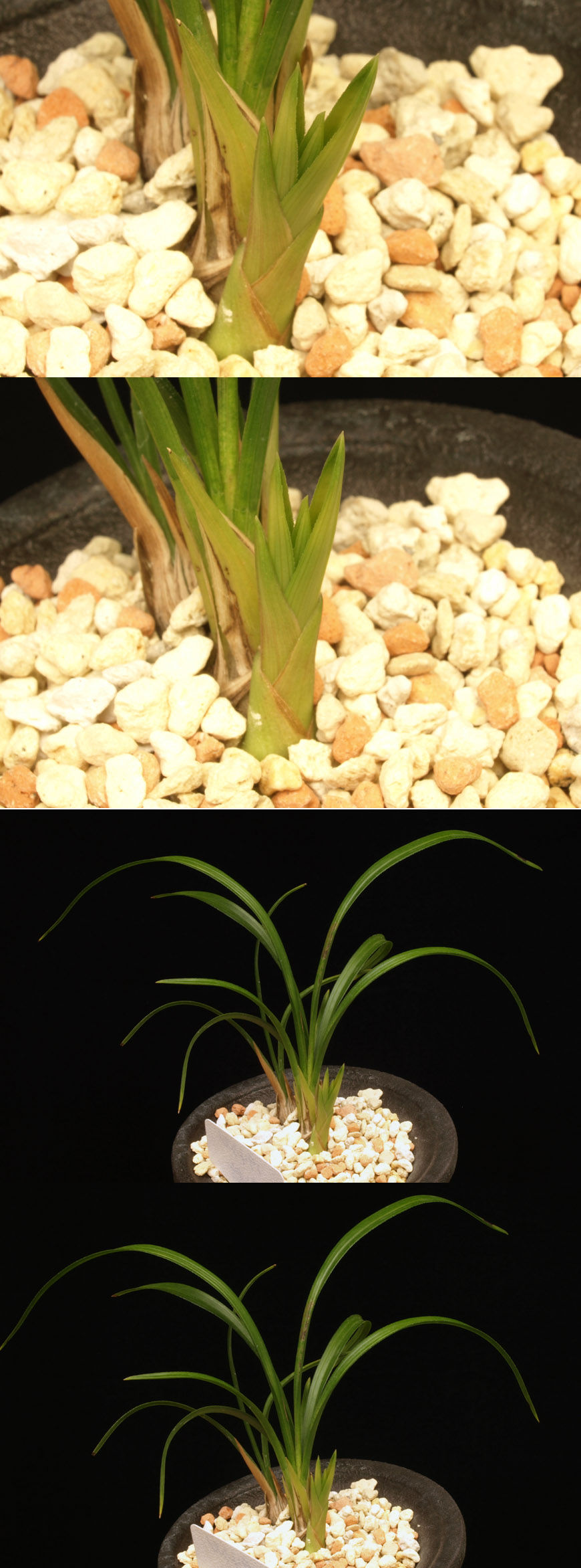 ������ ū������ �� �� �ֽ��ϴ�.