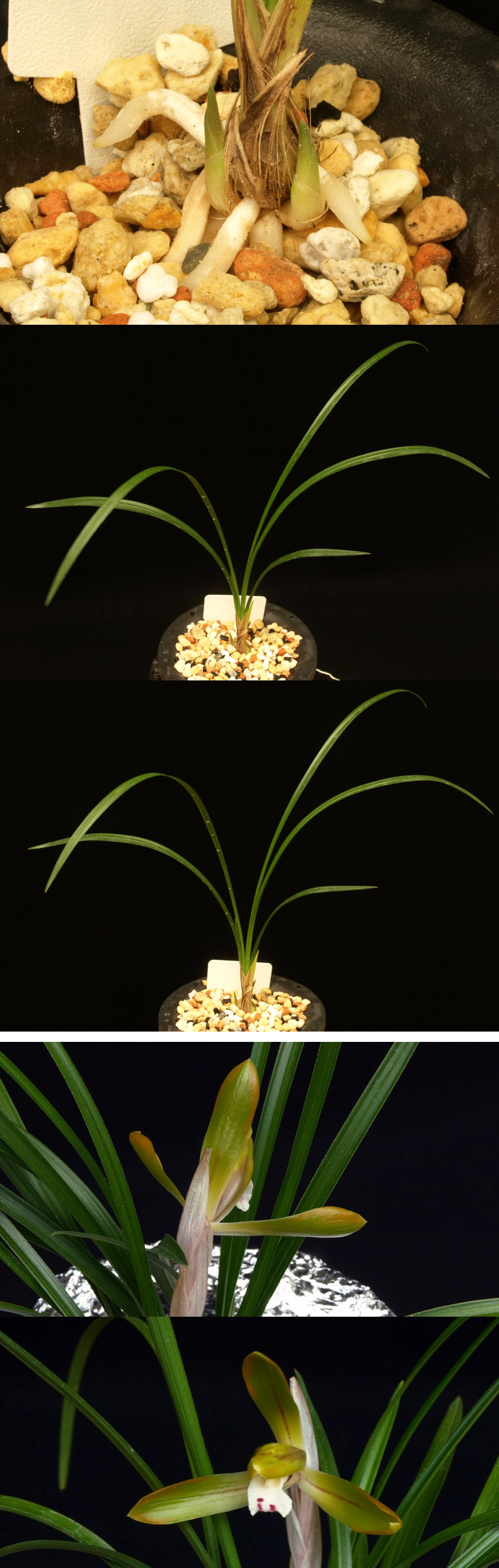 ������ ū������ �� �� �ֽ��ϴ�.