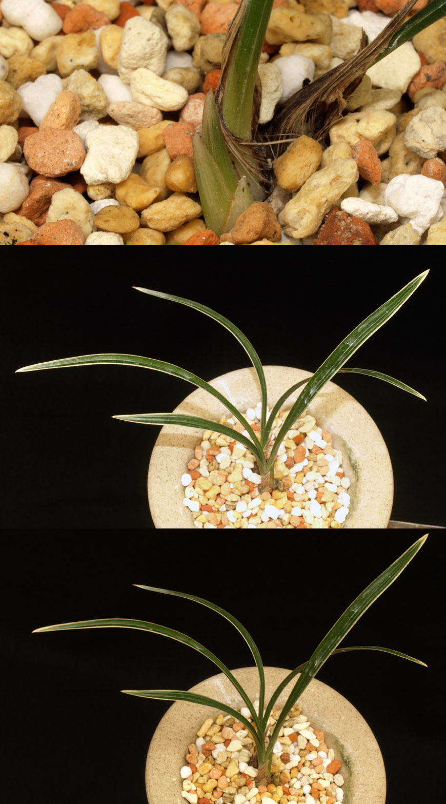 ������ ū������ �� �� �ֽ��ϴ�.