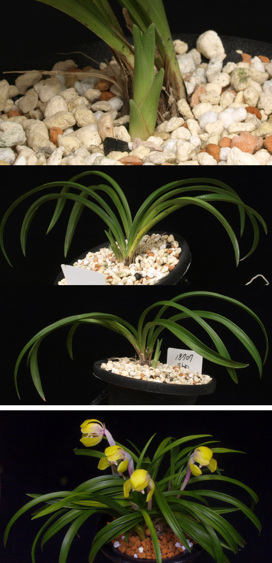 ������ ū������ �� �� �ֽ��ϴ�.