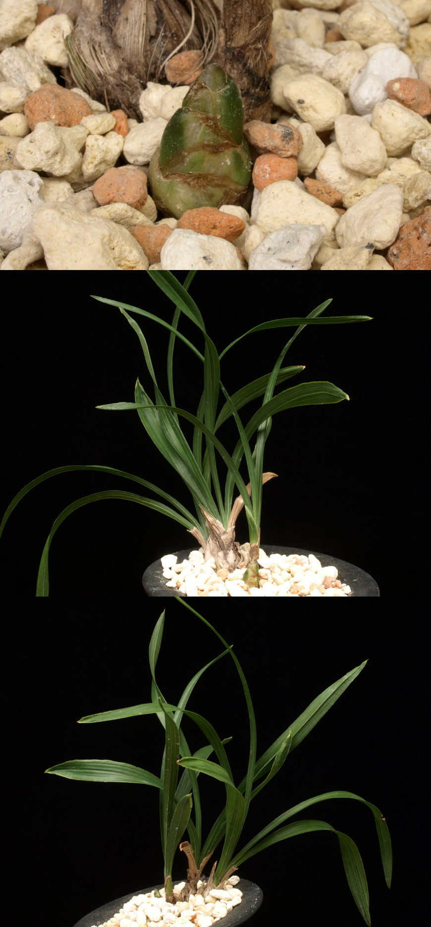 ������ ū������ �� �� �ֽ��ϴ�.