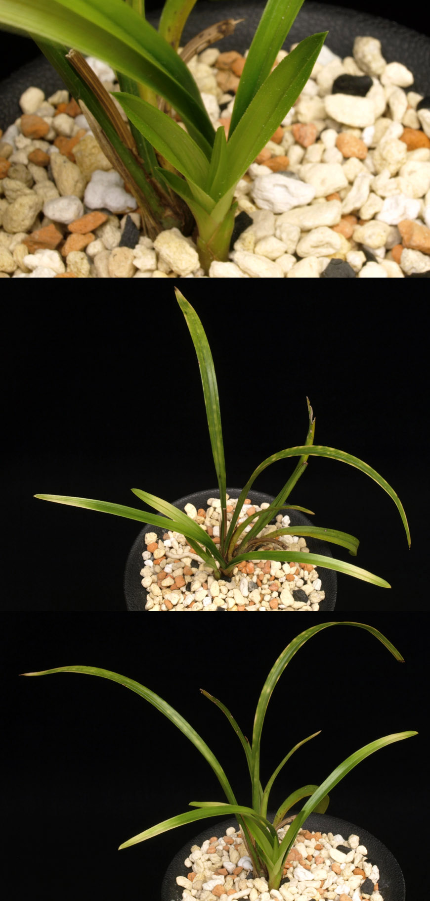 ������ ū������ �� �� �ֽ��ϴ�.