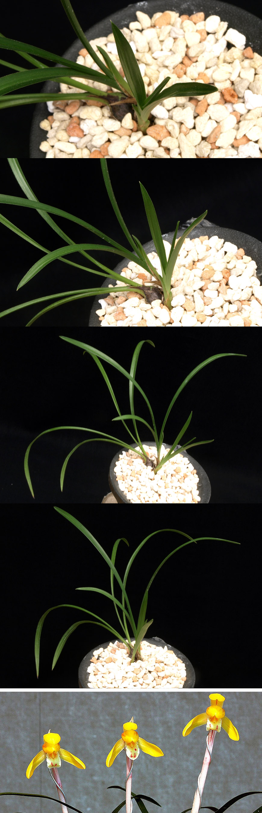 ������ ū������ �� �� �ֽ��ϴ�.