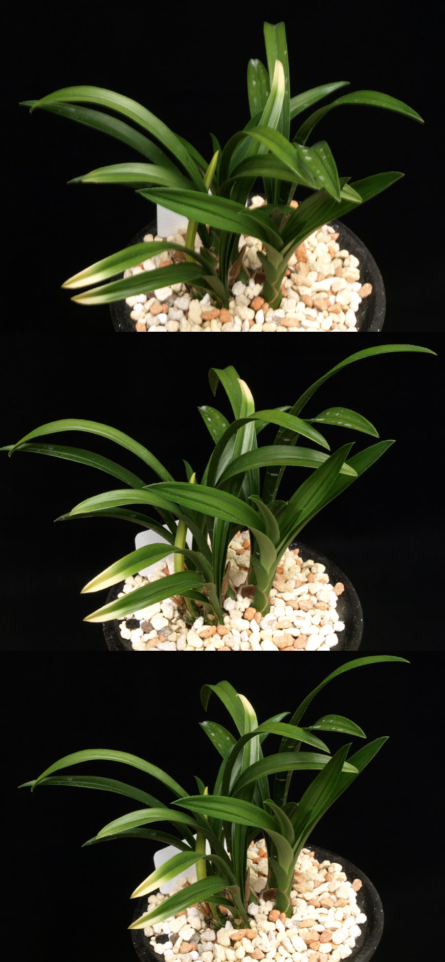 ������ ū������ �� �� �ֽ��ϴ�.