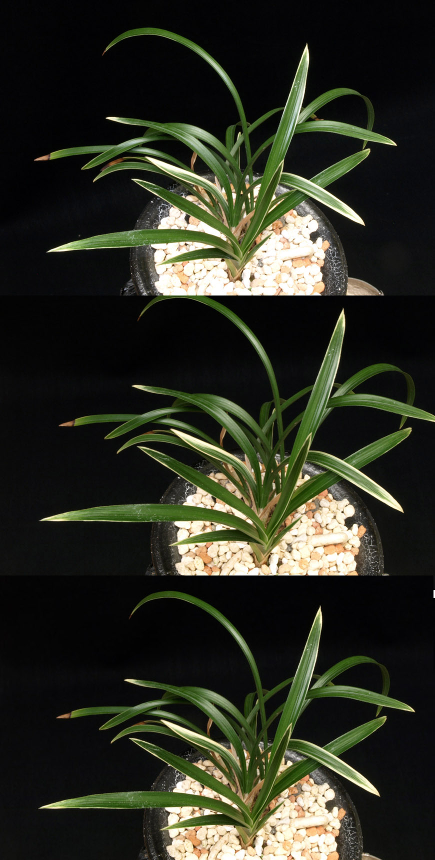 ������ ū������ �� �� �ֽ��ϴ�.