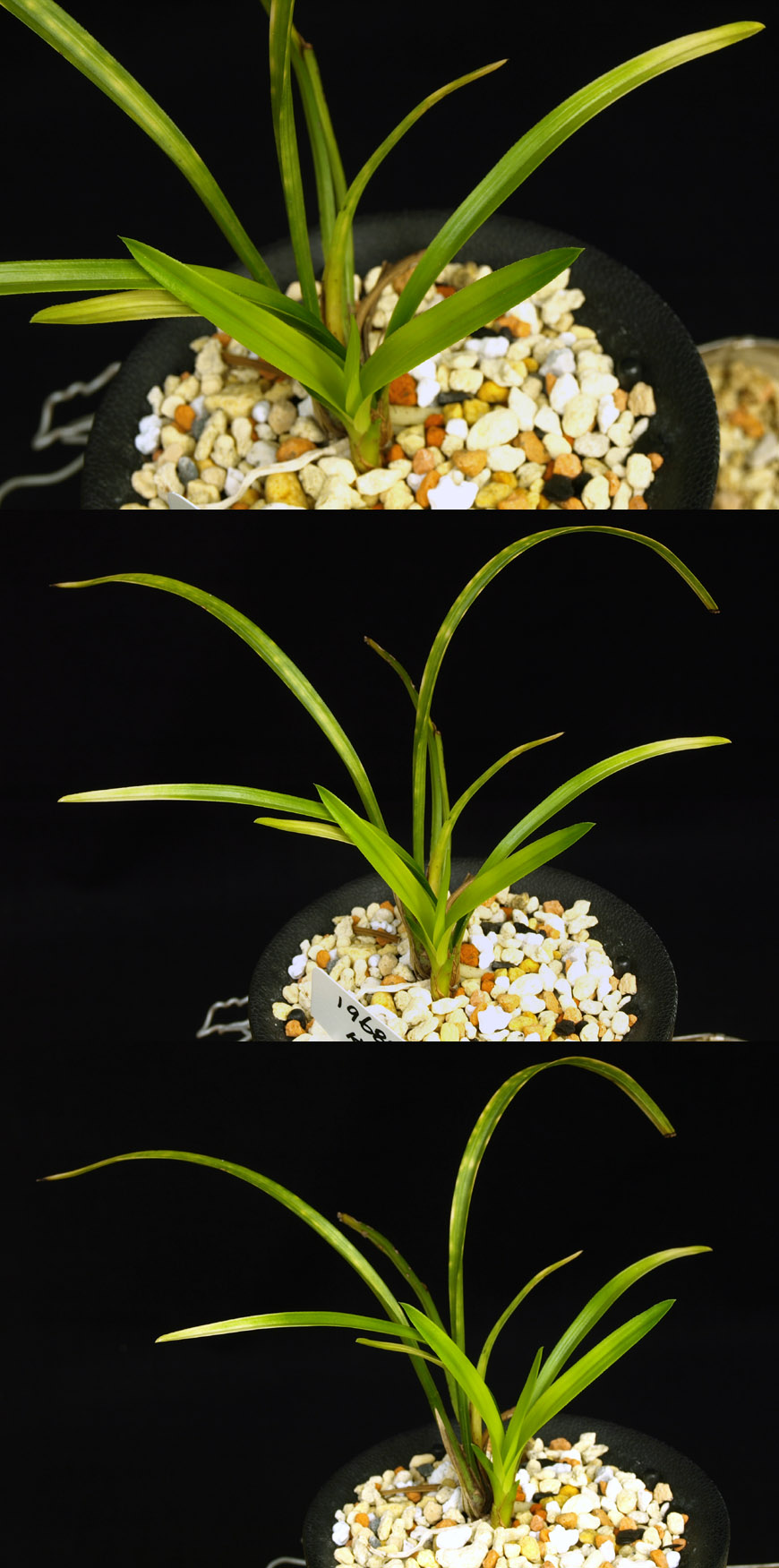 ������ ū������ �� �� �ֽ��ϴ�.