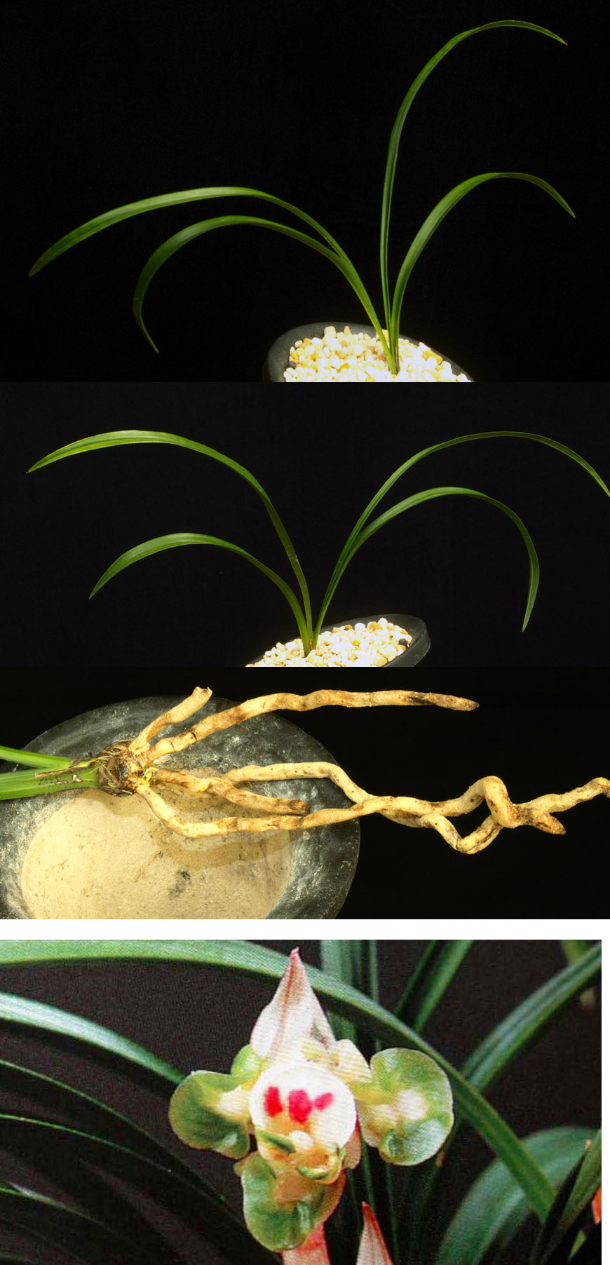 ������ ū������ �� �� �ֽ��ϴ�.