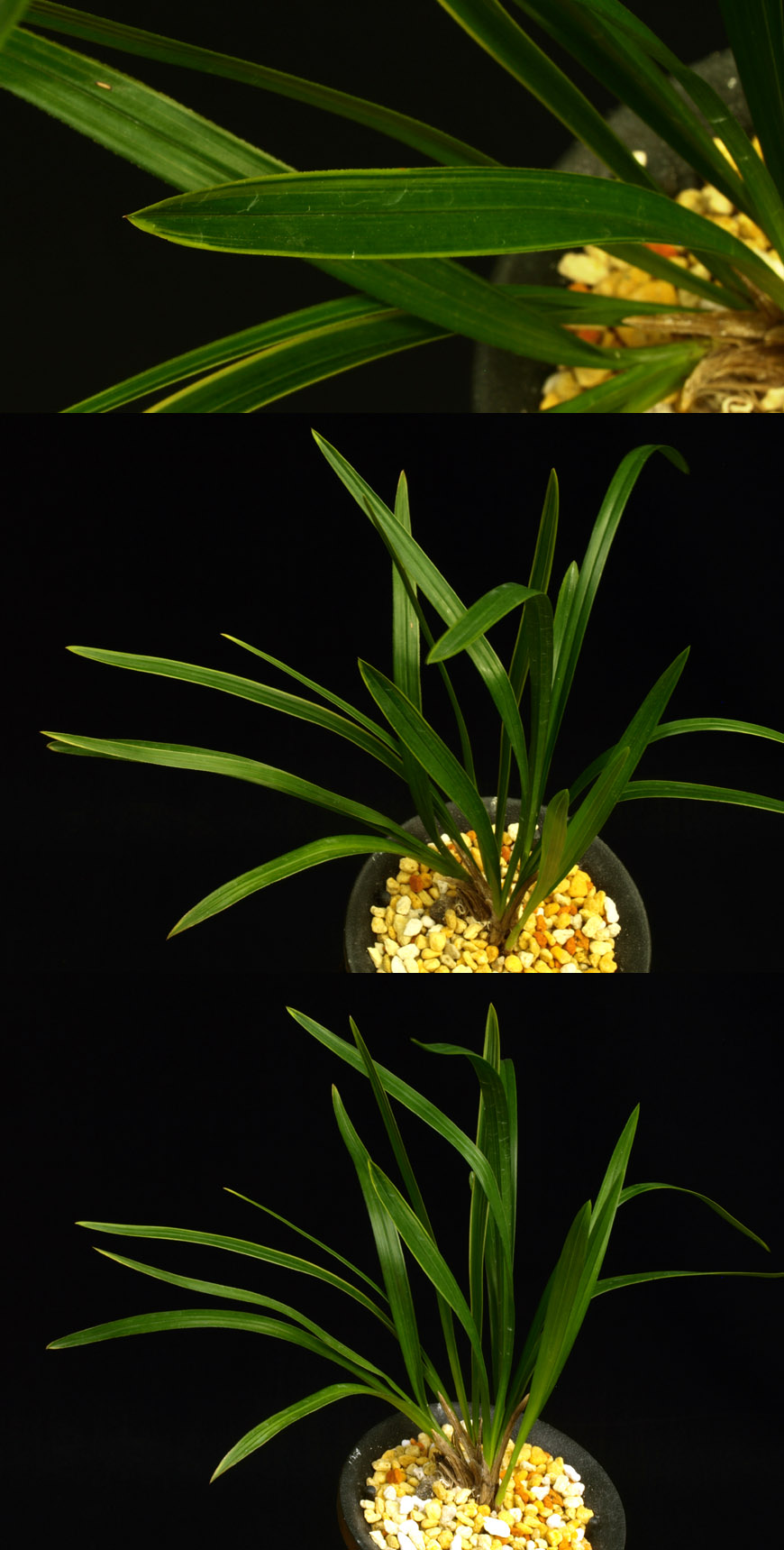 ������ ū������ �� �� �ֽ��ϴ�.