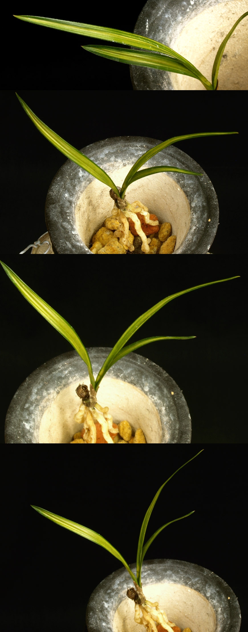 ������ ū������ �� �� �ֽ��ϴ�.