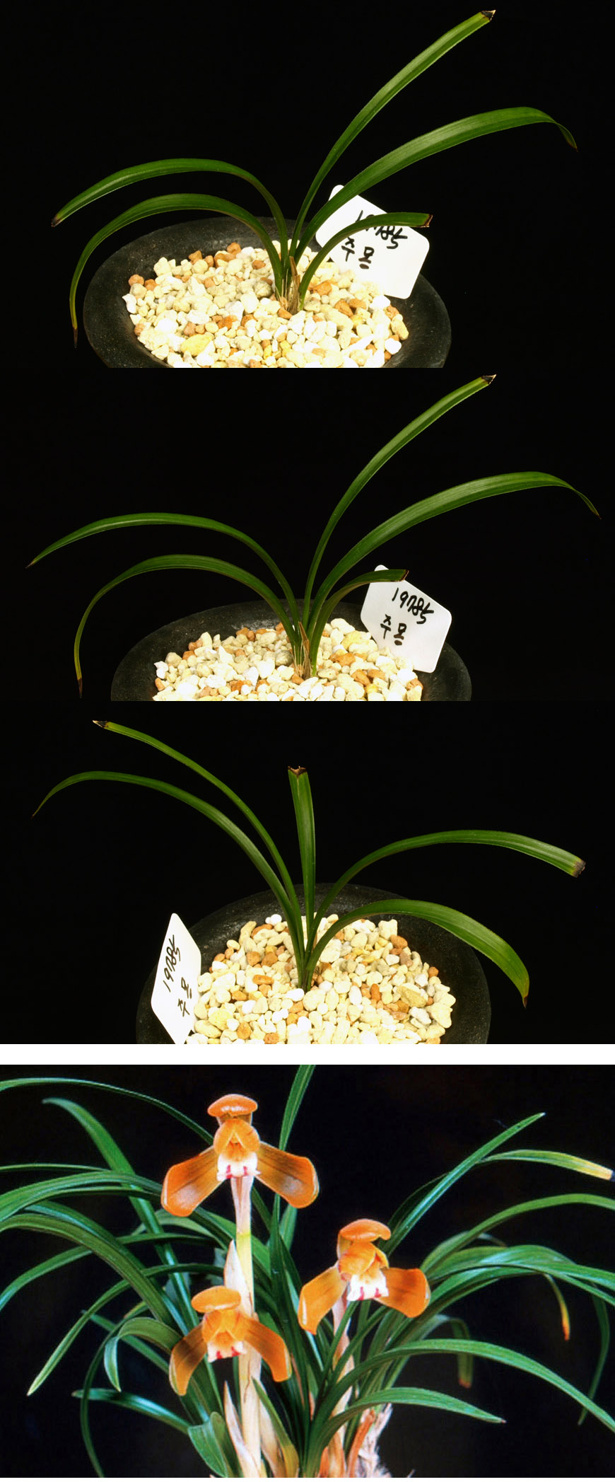 ������ ū������ �� �� �ֽ��ϴ�.