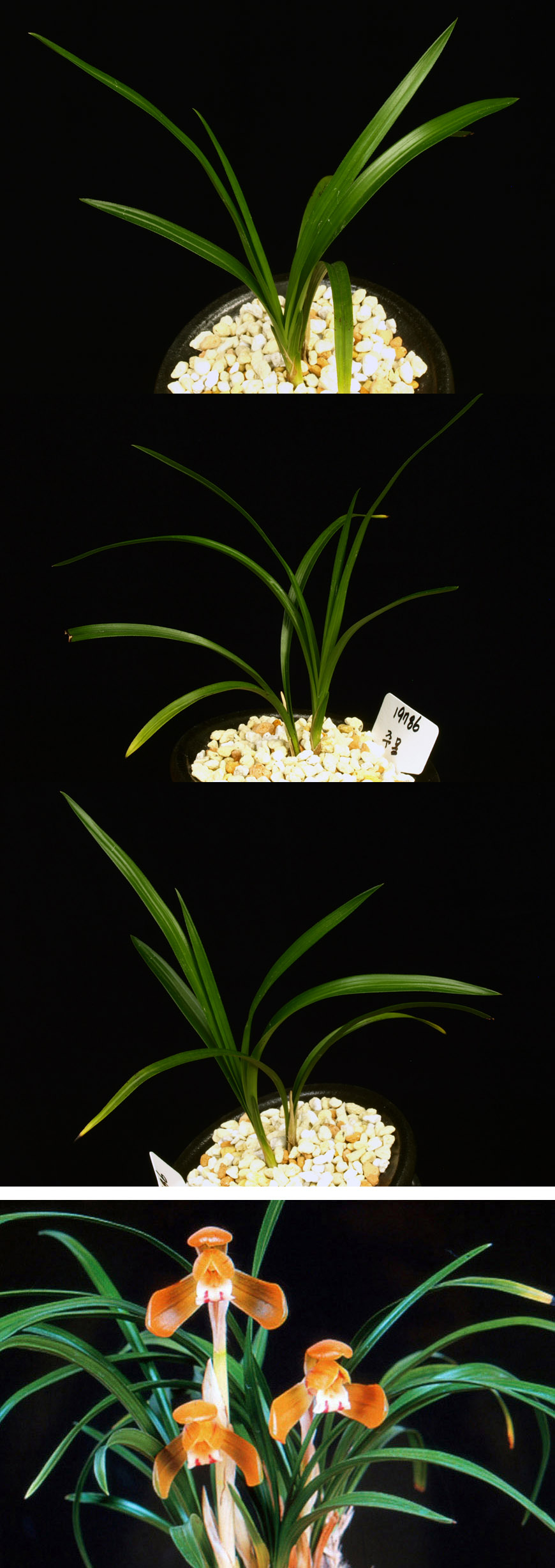 ������ ū������ �� �� �ֽ��ϴ�.