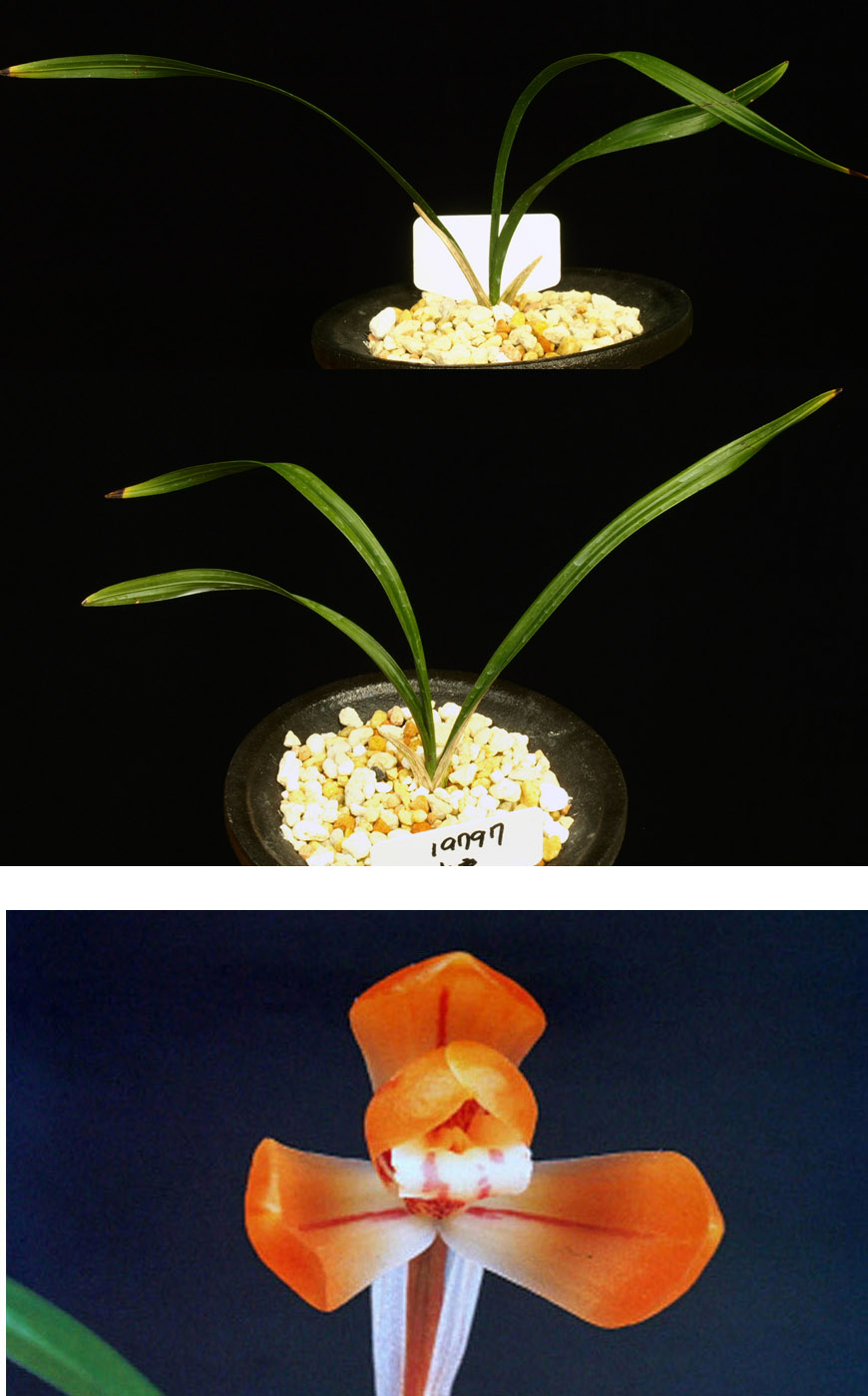 ������ ū������ �� �� �ֽ��ϴ�.