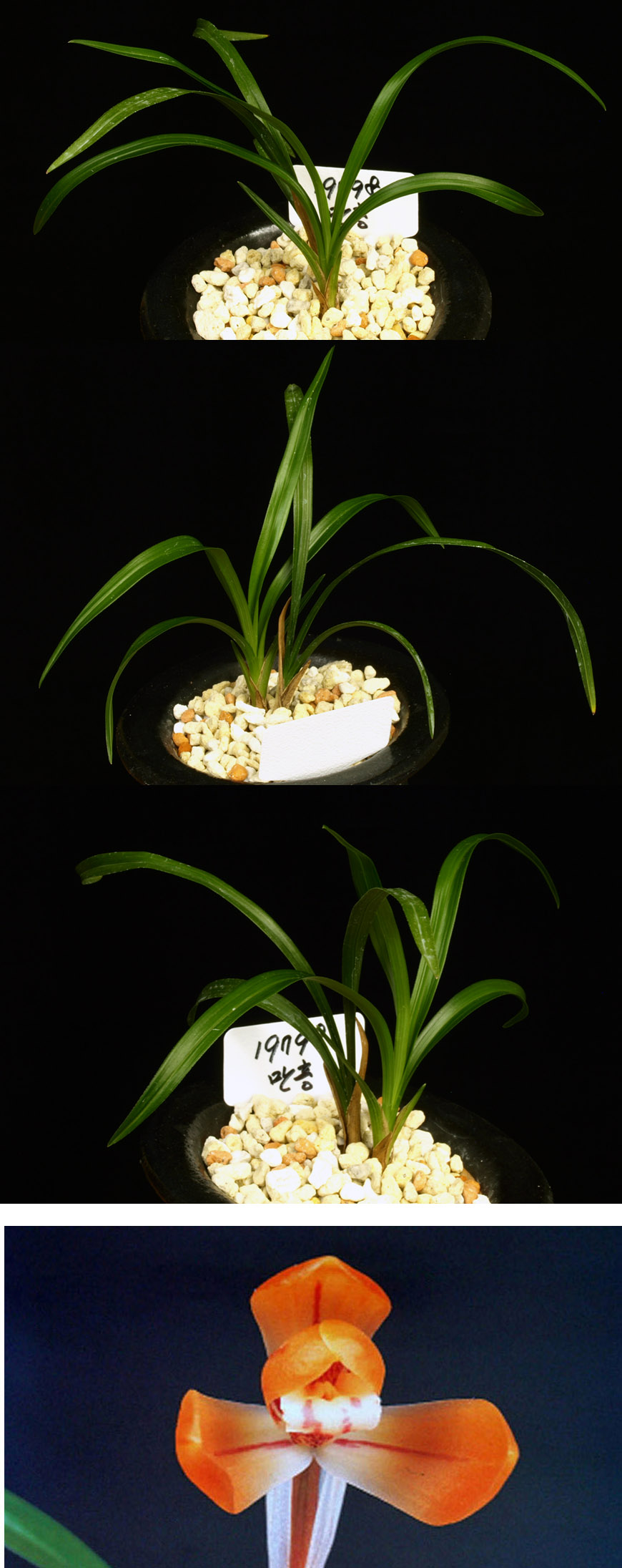 ������ ū������ �� �� �ֽ��ϴ�.