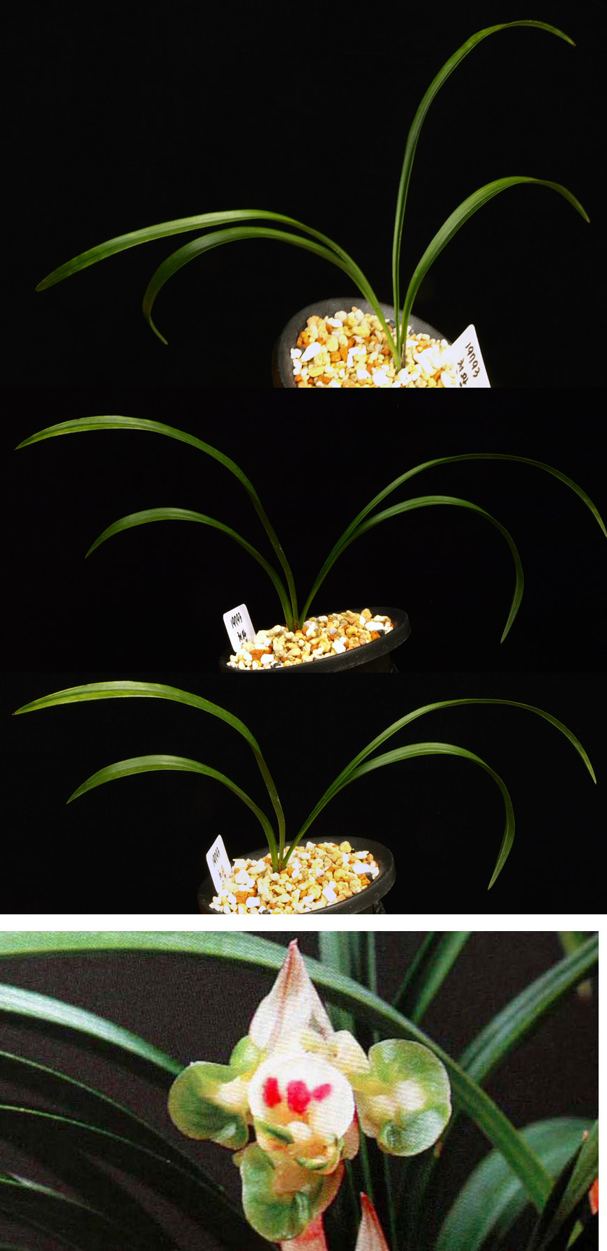 ������ ū������ �� �� �ֽ��ϴ�.