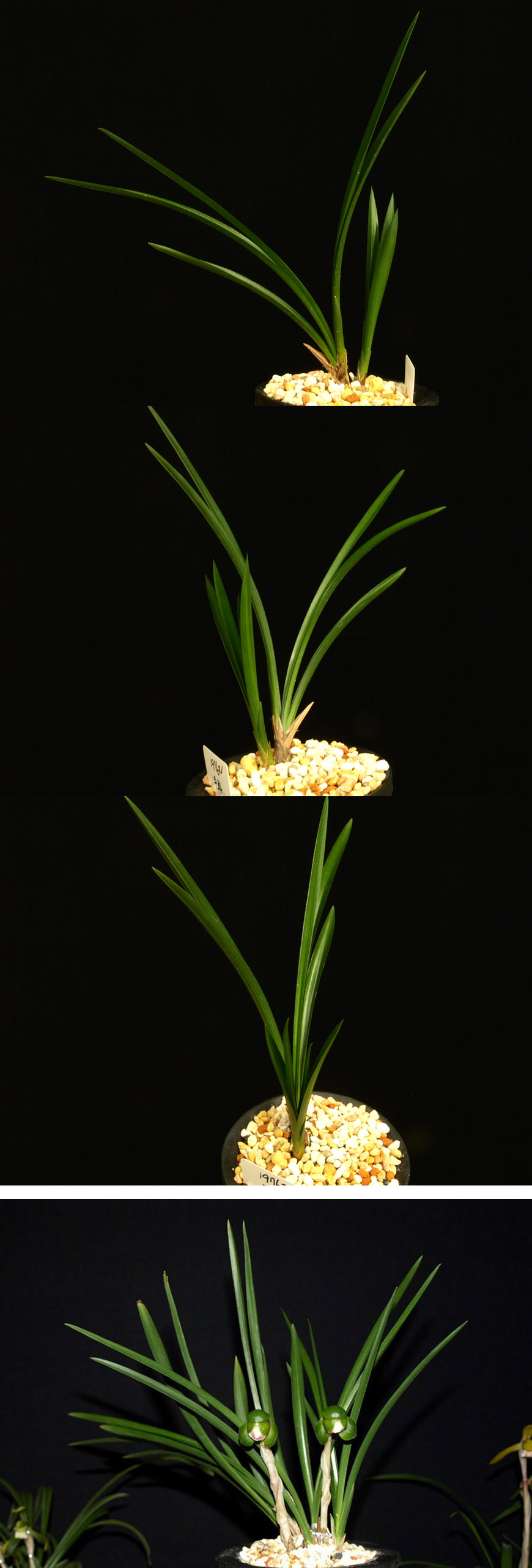 ������ ū������ �� �� �ֽ��ϴ�.