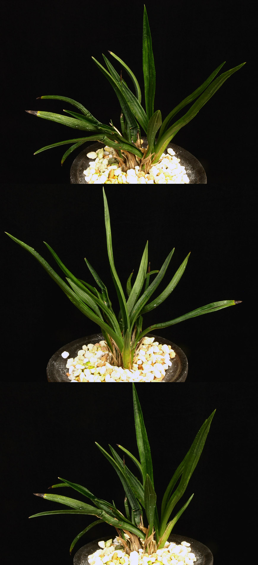 ������ ū������ �� �� �ֽ��ϴ�.