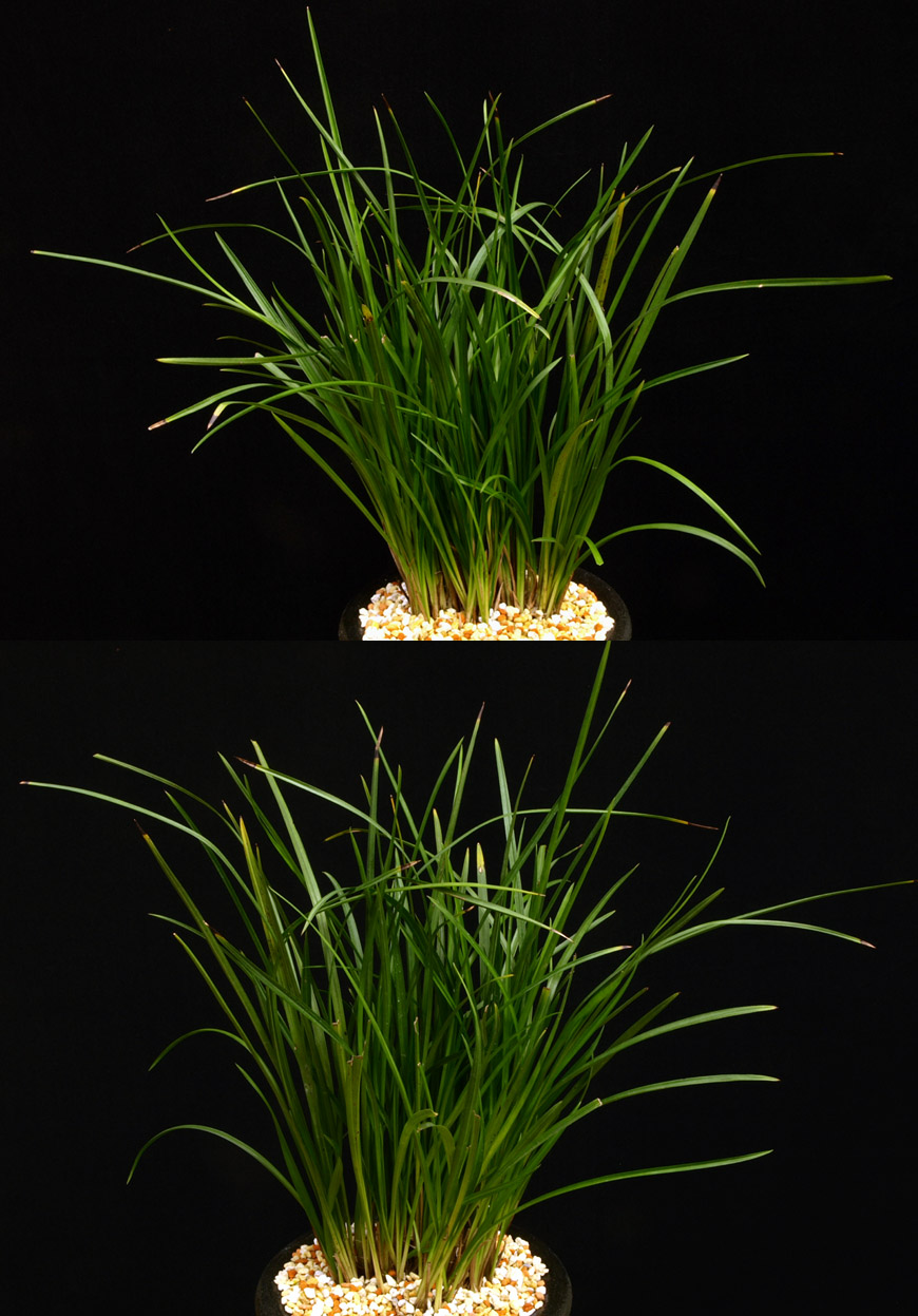 ������ ū������ �� �� �ֽ��ϴ�.