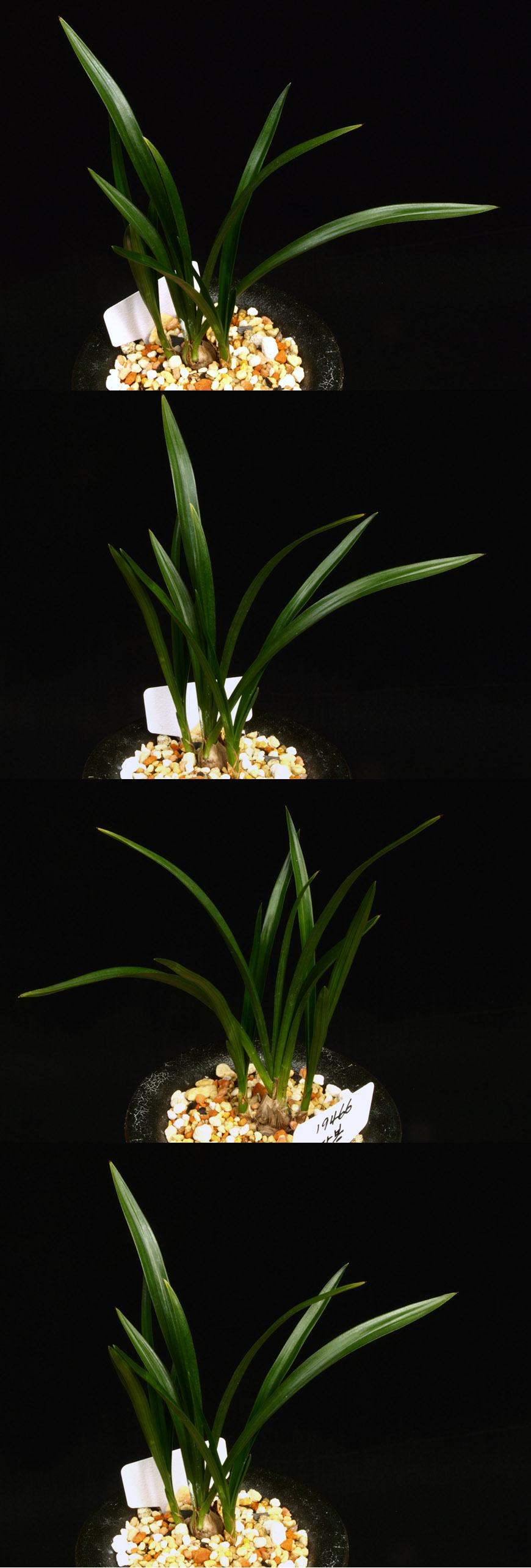 ������ ū������ �� �� �ֽ��ϴ�.