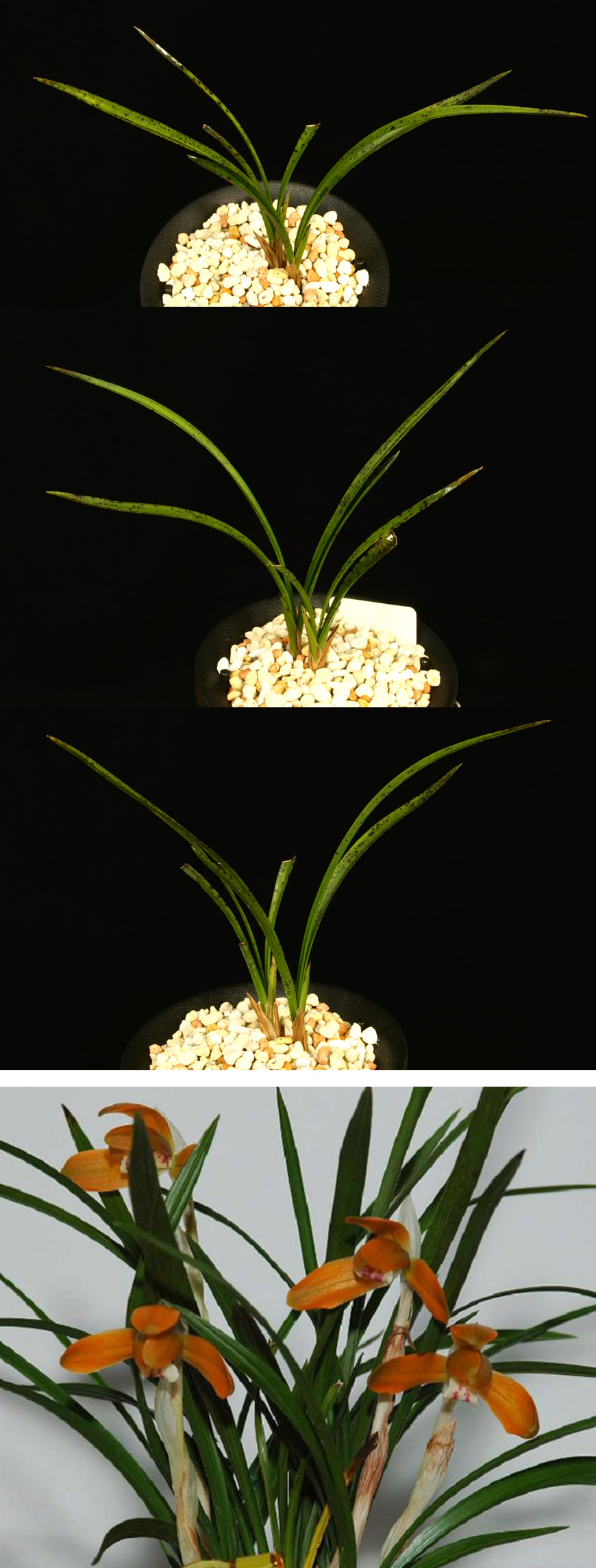 ������ ū������ �� �� �ֽ��ϴ�.