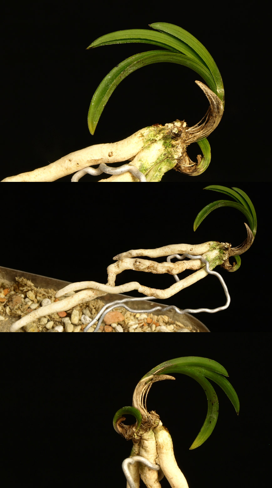 ������ ū������ �� �� �ֽ��ϴ�.