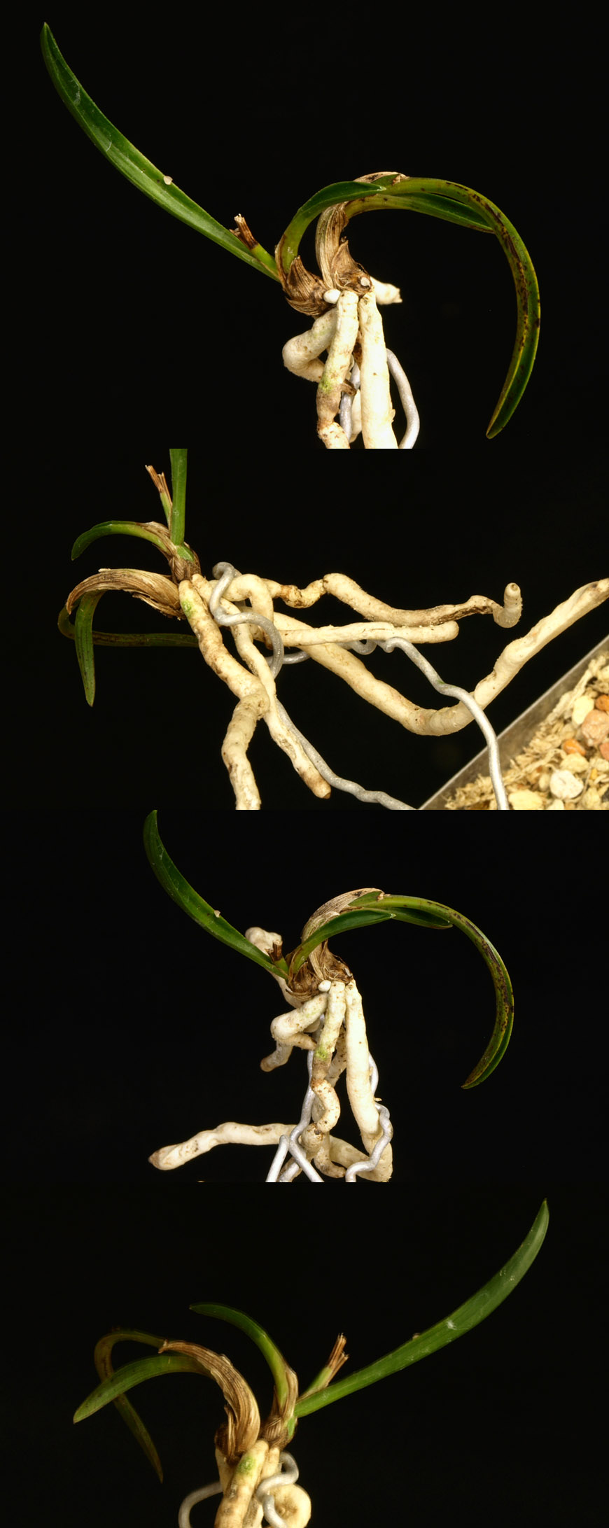 ������ ū������ �� �� �ֽ��ϴ�.