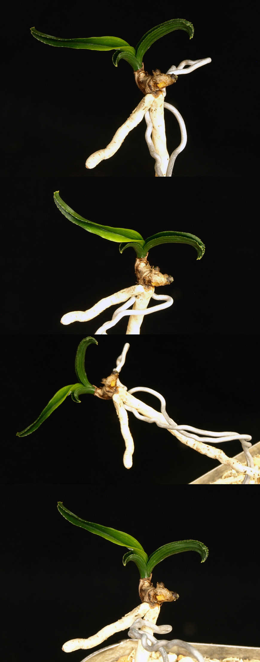 ������ ū������ �� �� �ֽ��ϴ�.