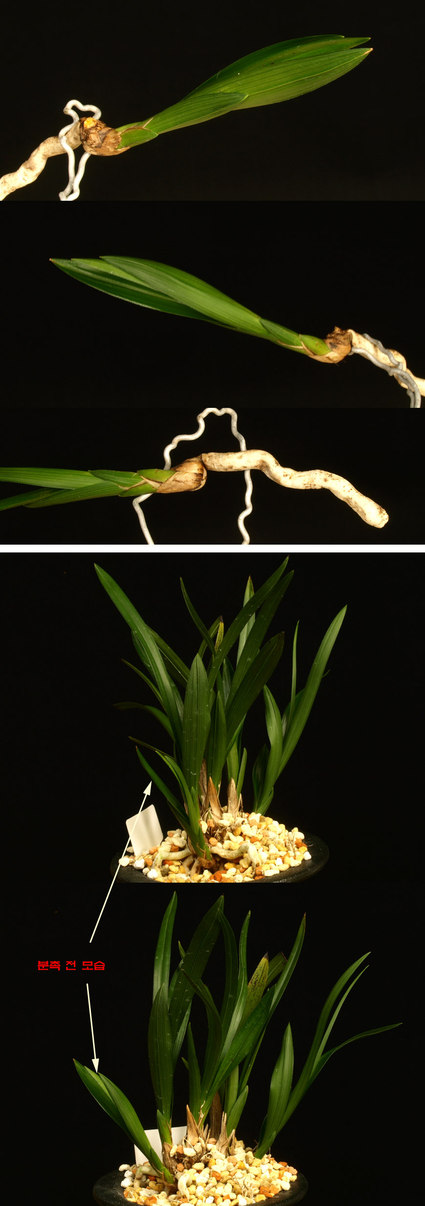 ������ ū������ �� �� �ֽ��ϴ�.