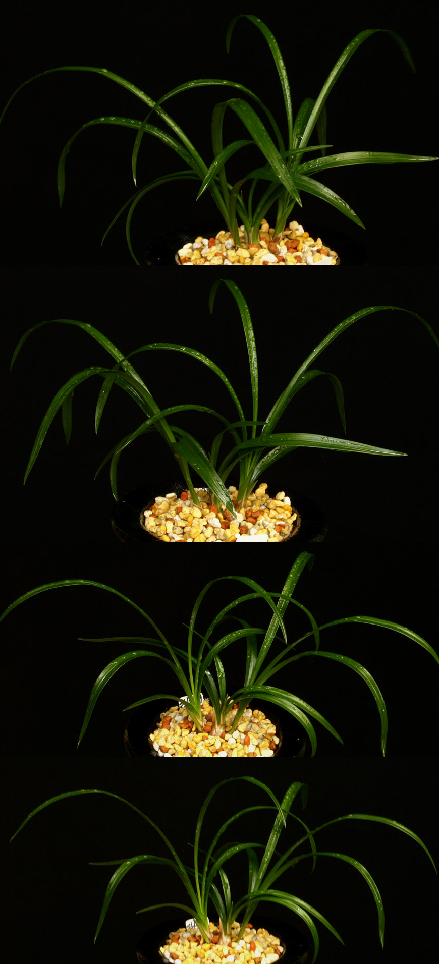 ������ ū������ �� �� �ֽ��ϴ�.