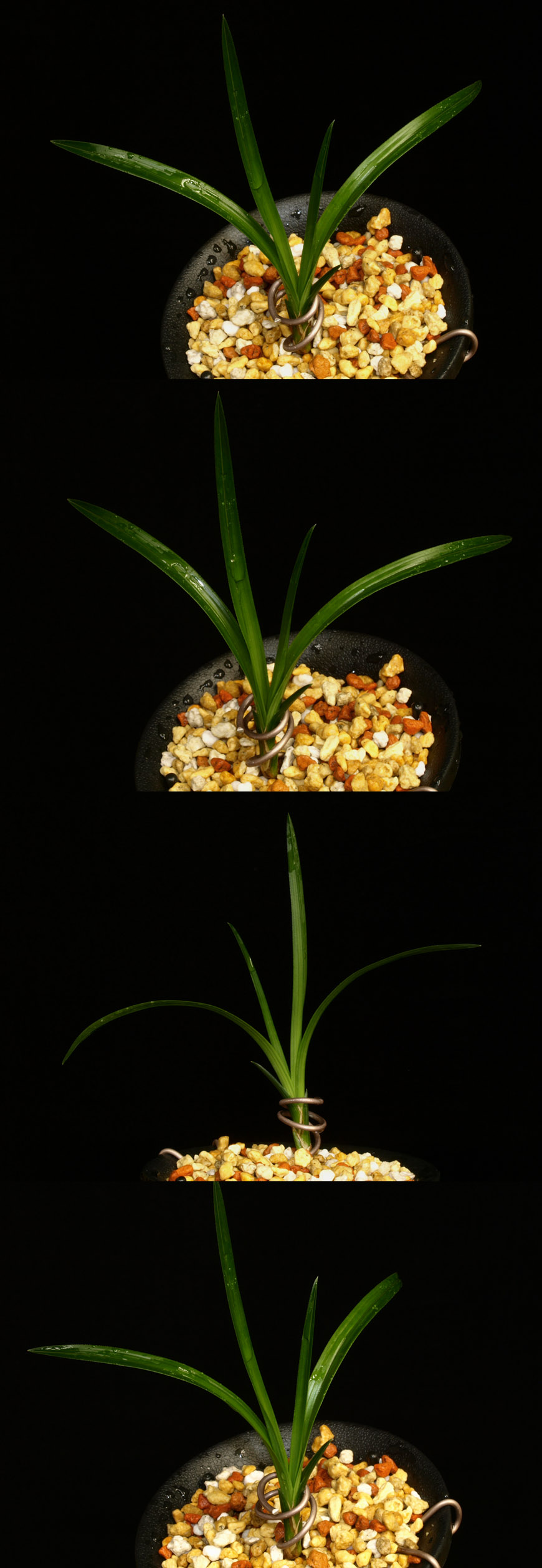 ������ ū������ �� �� �ֽ��ϴ�.