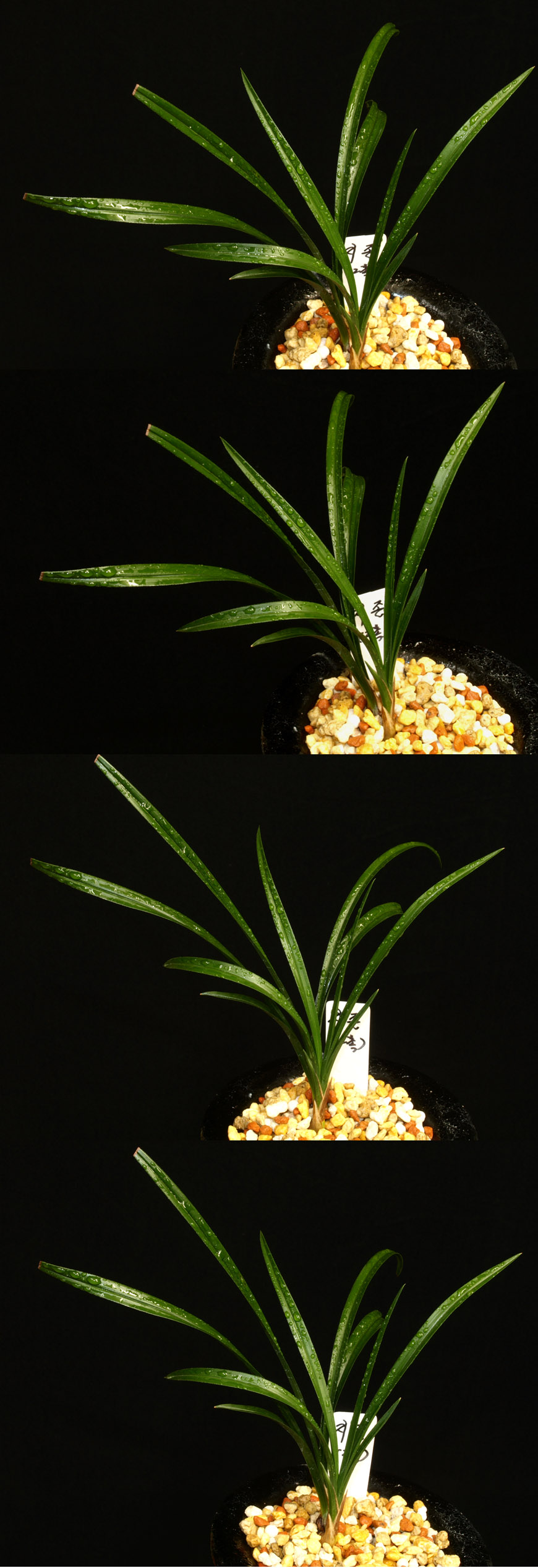 ������ ū������ �� �� �ֽ��ϴ�.