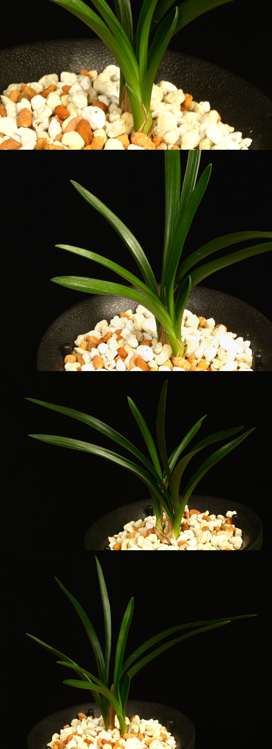 ������ ū������ �� �� �ֽ��ϴ�.