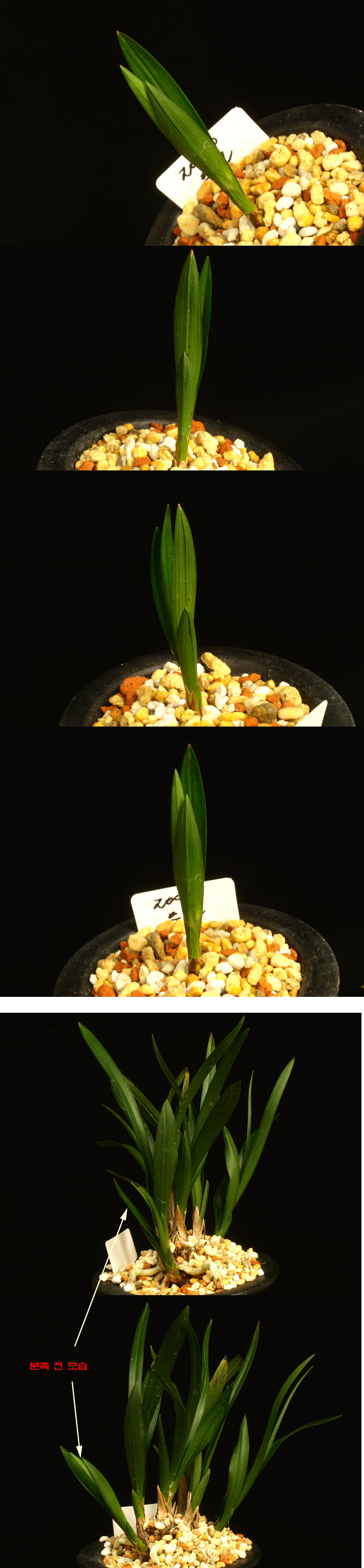 ������ ū������ �� �� �ֽ��ϴ�.